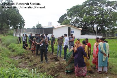 Celebration of 17th foundation day of Kamdhenu University, Gandhinagar at Livestock Research Station, KU, Navsari.