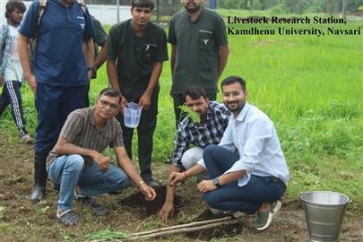 Celebration of 17th foundation day of Kamdhenu University, Gandhinagar at Livestock Research Station, KU, Navsari.