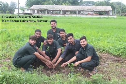 Celebration of 17th foundation day of Kamdhenu University, Gandhinagar at Livestock Research Station, KU, Navsari.
