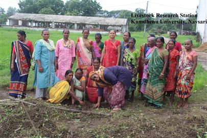 Celebration of 17th foundation day of Kamdhenu University, Gandhinagar at Livestock Research Station, KU, Navsari.