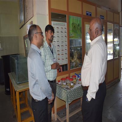 Visit of Dr. P.H. Tank, Hon. Vice chancellor, Kamdhenu University, Gandhinagar at Fisheries Research Station, Kamdhenu University, Sikka.