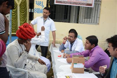 Camel Health Camp on 28 January, 2016 at Laxmipura, Khedbrahma, Sabarkantha