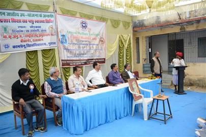 Camel Health Camp on 28 January, 2016 at Laxmipura, Khedbrahma, Sabarkantha