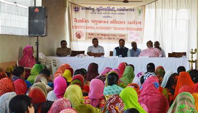 Dairy Farmers Training Programme on 11 January, 2018 at Chitroda, Ta. Idar, Dist. Sabarkantha