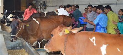 Dairy Farmers Training Programme on 28 June, 2018 at Chotasan Kampa, Ta. Idar, Dist Sabarkantha