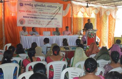 Dairy Farmers Training Programme on 28 June, 2018 at Chotasan Kampa, Ta. Idar, Dist Sabarkantha