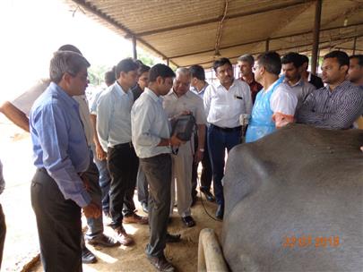 Hands on Bovine Reproductive Ultrasonography Camp on 22 July, 2015 at Kamdhenu University, Gandhinagar