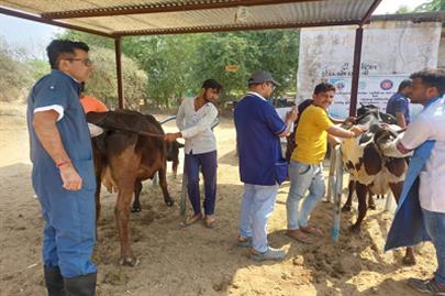 Animal Health Camp Organized by College of Veterinary Science & A.H. Sardarkrushinagar.