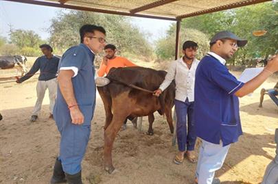 Animal Health Camp Organized by College of Veterinary Science & A.H. Sardarkrushinagar.