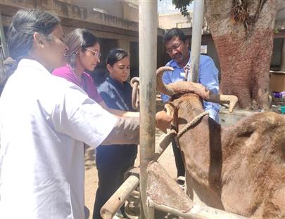 Clinical Camp at Bhanvad, Dist. Devbhumi Dwarka