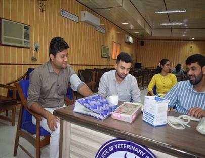 Blood Donation Camp Organized at College of Veterinary Science & A.H, Kamdhenu University, Sardarkrushinagar