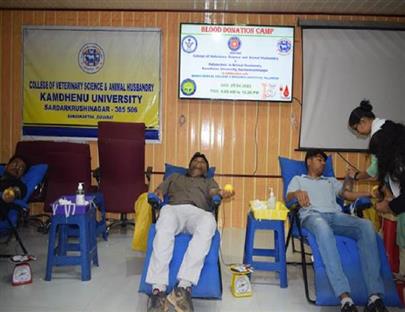 Blood Donation Camp Organized at College of Veterinary Science & A.H, Kamdhenu University, Sardarkrushinagar