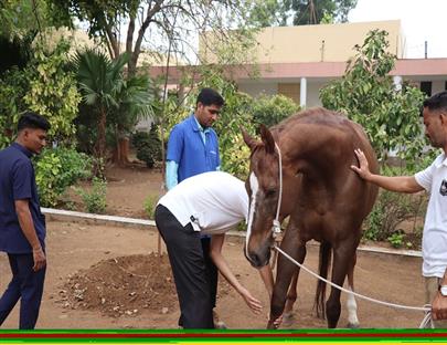 Celebration of World Veterinary Day on 29th April, 2023 at Veterinary College, Kamdhenu University, Anand