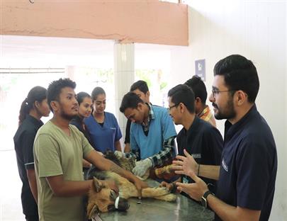 Celebration of World Veterinary Day on 29th April, 2023 at Veterinary College, Kamdhenu University, Anand