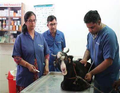 Celebration of World Veterinary Day on 29th April, 2023 at Veterinary College, Kamdhenu University, Anand