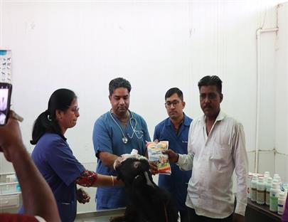 Celebration of World Veterinary Day on 29th April, 2023 at Veterinary College, Kamdhenu University, Anand
