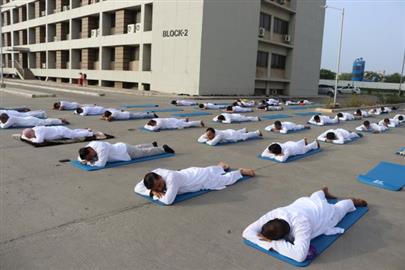 International Yog Day