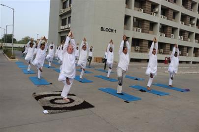International Yog Day