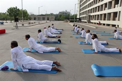 International Yog Day