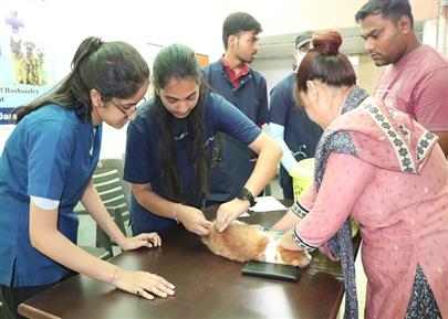 Celebration of World Zoonosis Day on 6th July-2023