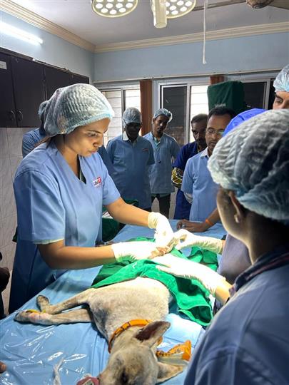 Report on "HANDS ON TRAINING ON GASEOUS ANESTHESIA IN VETERINARY PRACTICE"