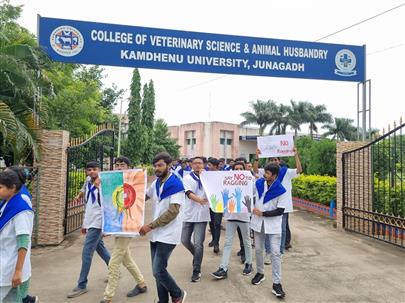 Celebration of Antiragging awareness week by College of Veterinary Science & AH, Kamdhenu University Junagadh