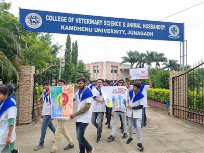 Celebration of Antiragging awareness week by College of Veterinary Science & AH, Kamdhenu University Junagadh
