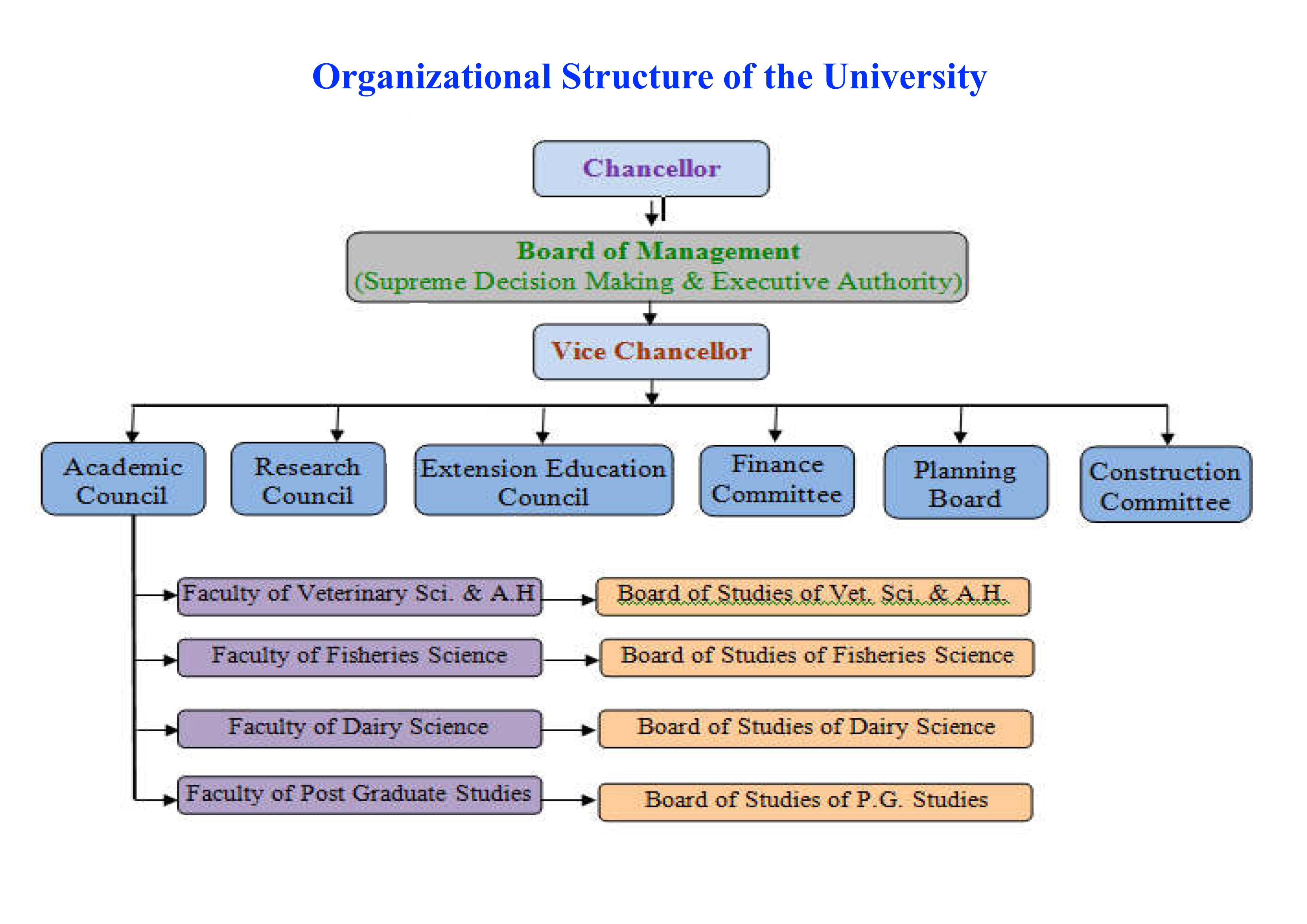Organizational Structure