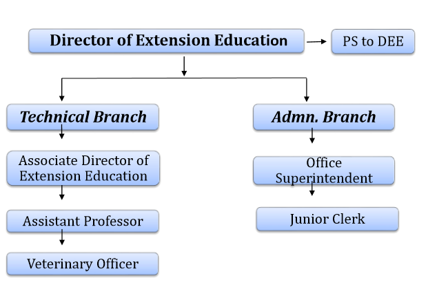 Organization Chart