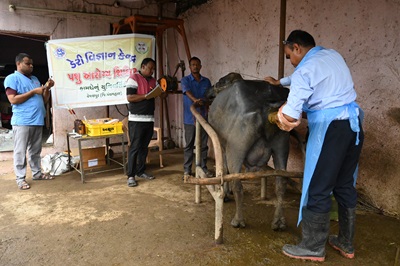 Dairy Vigyan Kendra Organized Animal Health Camp on June 27, 2025