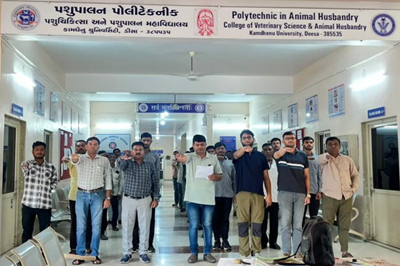 રાષ્ટ્રીય એકતા દિવસ શપથ ગ્રહણ કાર્યક્રમની ઉજવણી પશુપાલન પોલિટેકનીક, કામધેનુ યુનિવર્સીટી,ડીસા. રાષ્ટ્રીય એકતા દિવસ શપથ ગ્રહણ કાર્યક્રમની ઉજવણી પશુપાલન પોલિટેકનીક, કામધેનુ યુનિવર્સીટી,ડીસા.