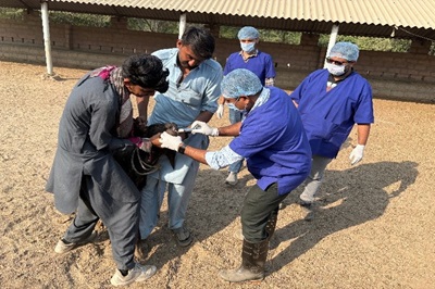 Clinical camp-cum-Goshthi organized by the Veterinary Clinical Complex, CoVSAH, KU, Bhuj for the benefit of livestock holders of Village Hodako